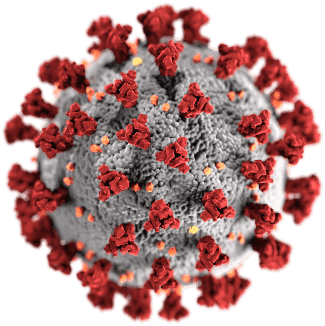 2019–20 pandemia di coronavirus