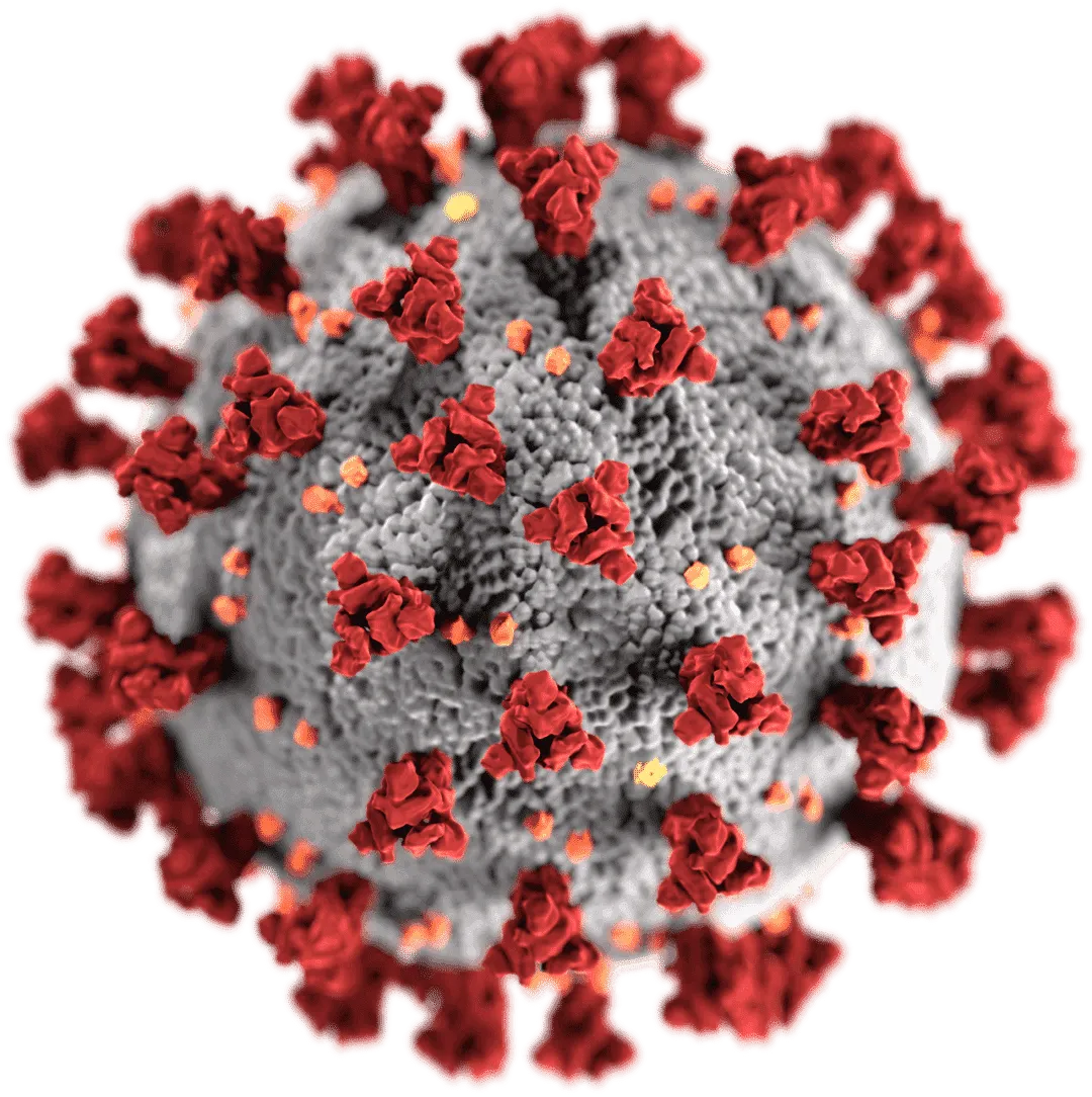 2019–20 pandemia di coronavirus